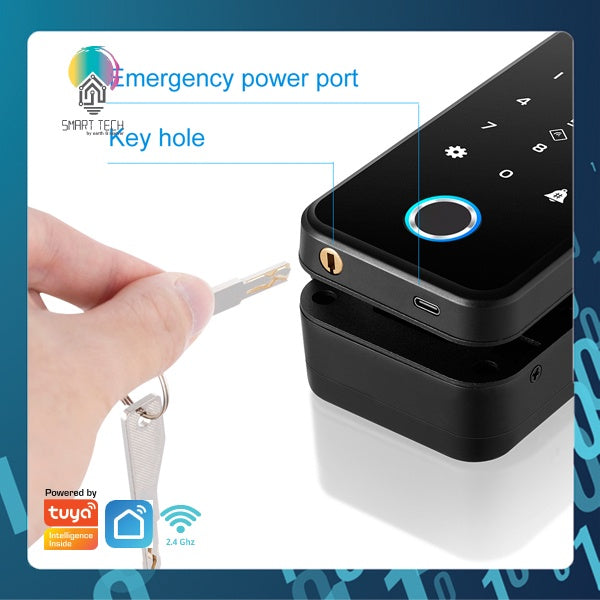 (Local Stock) Tuya / Smartlife App Biometric RFID Card Fingerprint Facial Recognition Smart Face Glass Door 8 to 12mm Lo