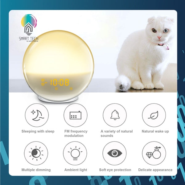 SMART TECH® Tuya WiFi Radio Clock with Night light , Nature sound, Radio FM function and 1 USB out for mobile charge